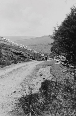 DESCENDING OF GLENMALURE